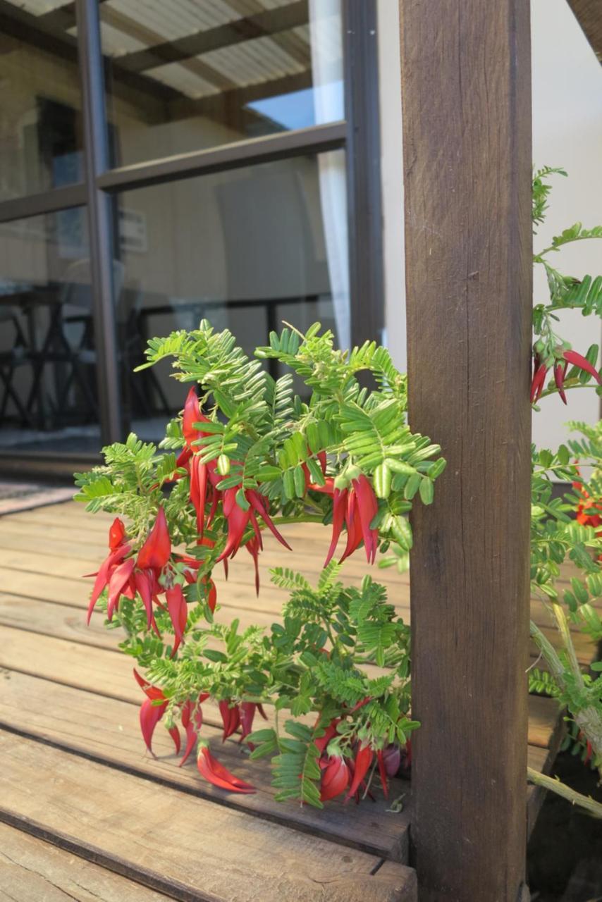 Tophouse Mountainview Cottages เซนต์อาร์โนด์ ภายนอก รูปภาพ
